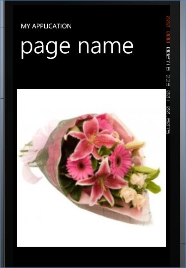 ImgWP4.jpg