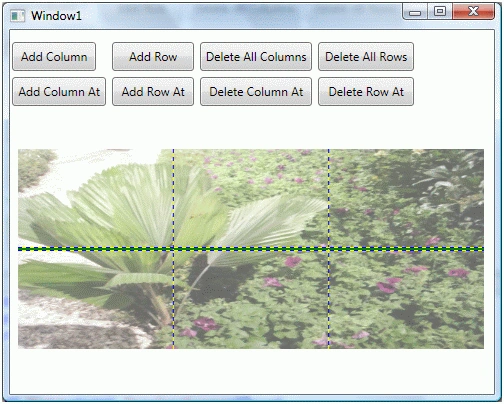 Setting Image as Background of a Grid
