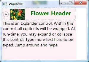Image header