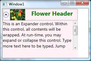 Scroll viewer