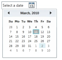 WPF DatePicker Control