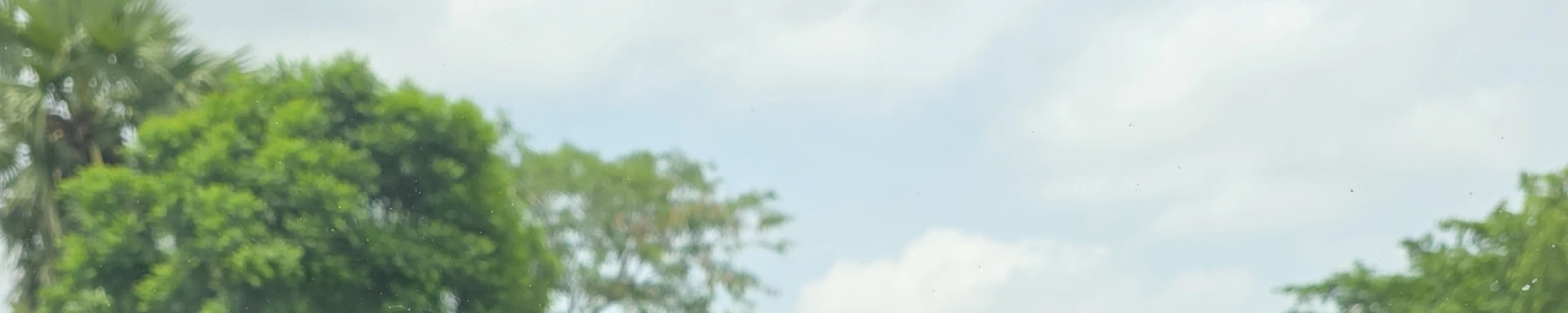 Bhavya Singh background image
