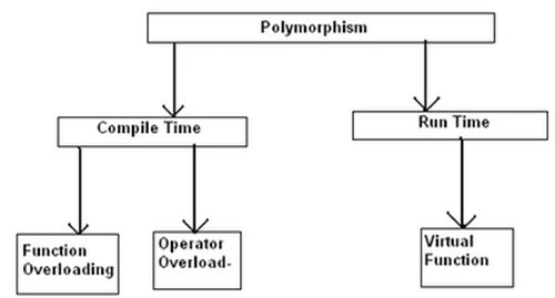 Ploymorphism1.jpg