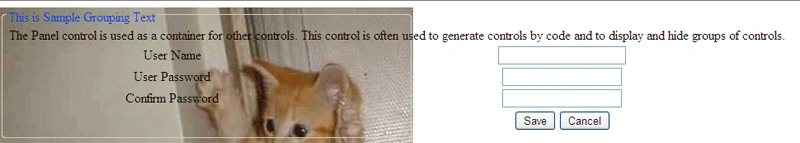 5.gif