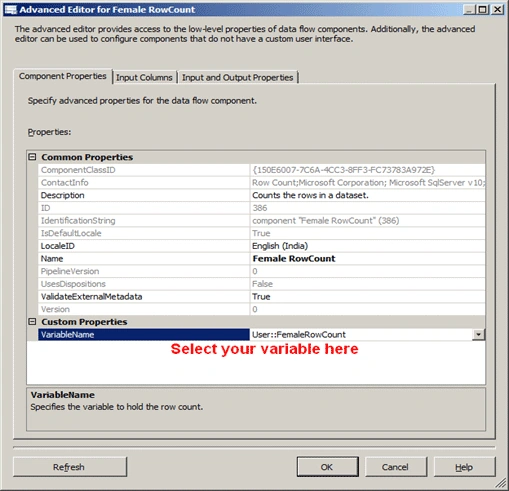 RowCount in SSIS