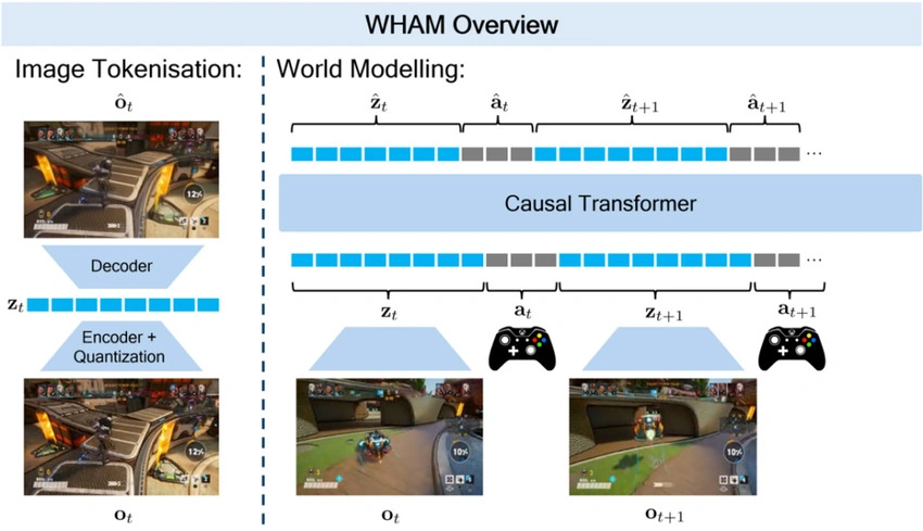 WHAMM