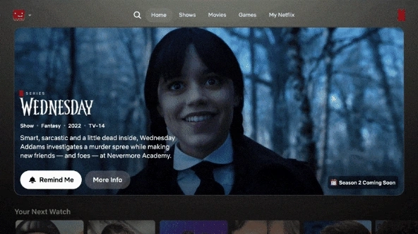 Netflix on TV