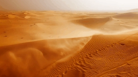 Desert