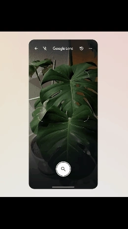 AI Mode