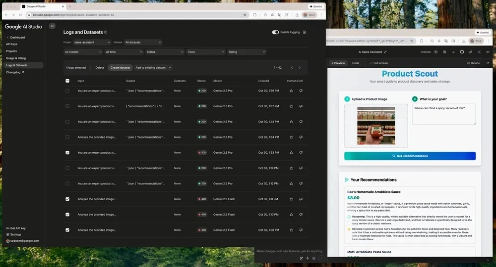 logging and datasets tool in Google AI Studio
