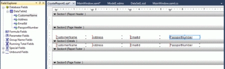 reportview30.gif