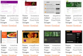 CSS1.gif