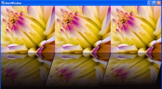 11.gif