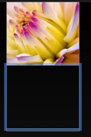5.gif