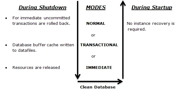 Clean database.png