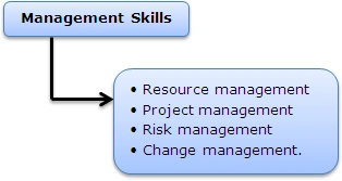 SystemAnalyst1.gif