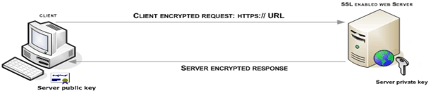 security7.gif