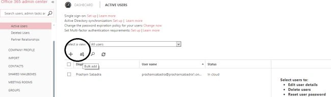 Bulk user option