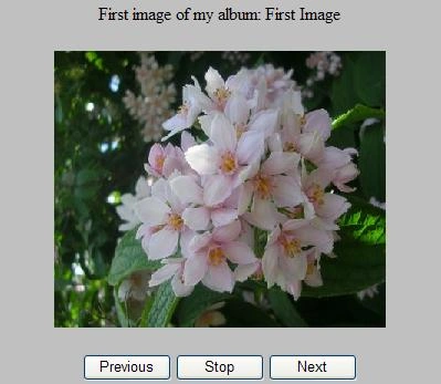 Image1.JPG
