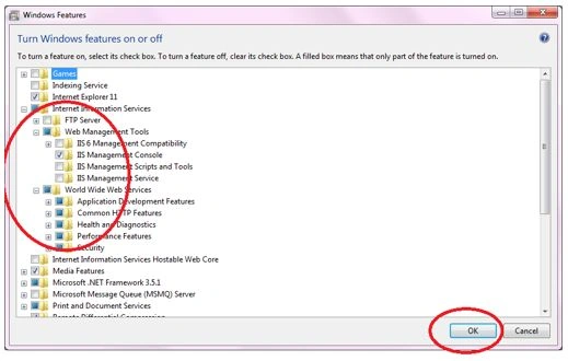 install IIS