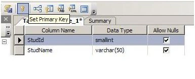 primary key