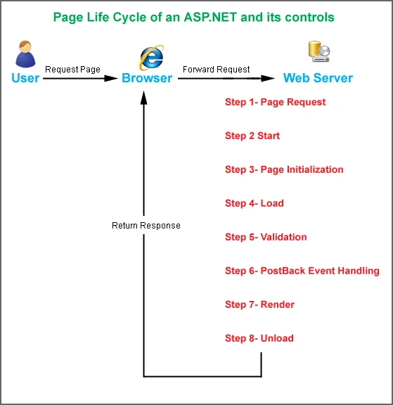 Life-cycle.gif