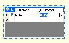 Customer