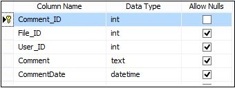 FileComment