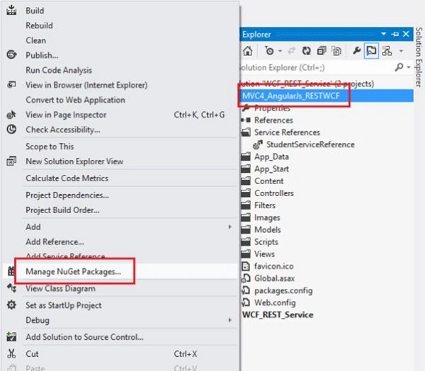 manage nuget packages