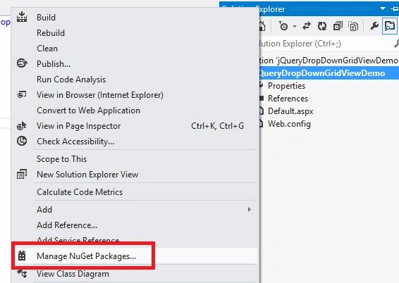 manage nuGet Packages