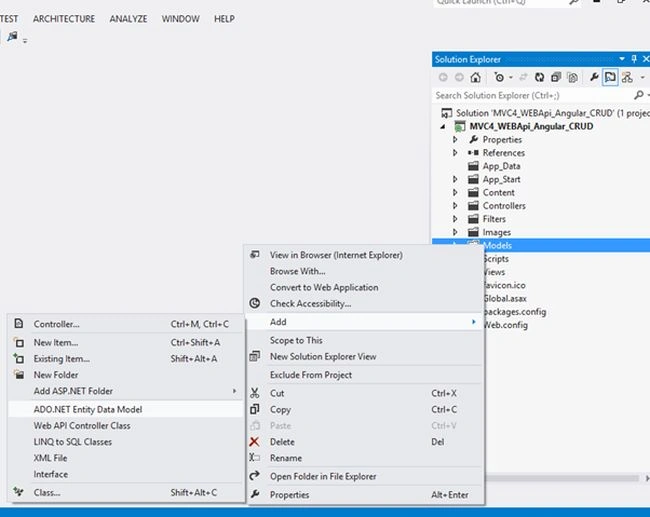 entity data model
