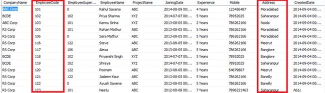 SQL server Data Table