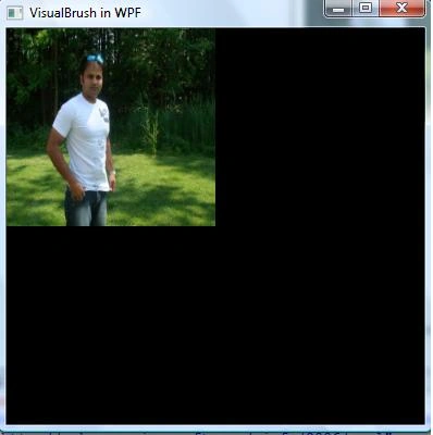 No Visual Brush Output