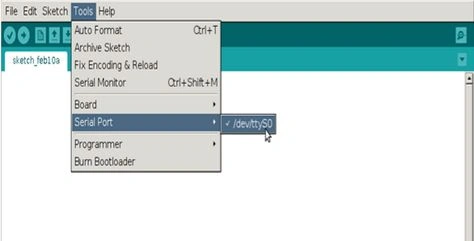 dev/ttyS0