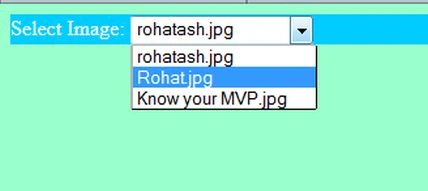 /Bind DropDownList