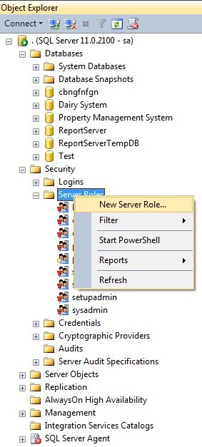Server Roles