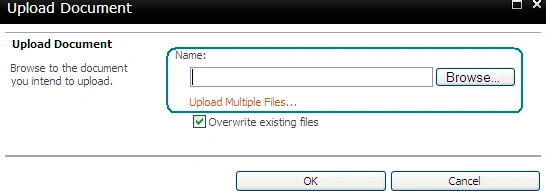 asset3.gif
