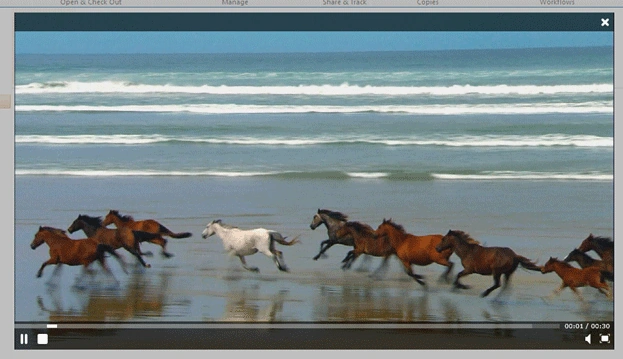 asset6.gif