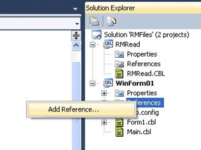 RMFiles6.gif
