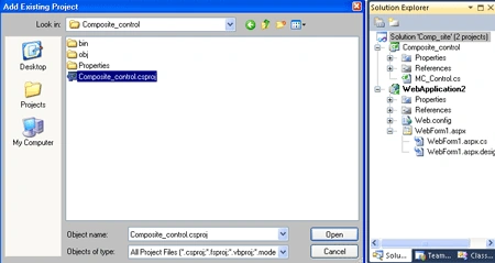 Add project to web application