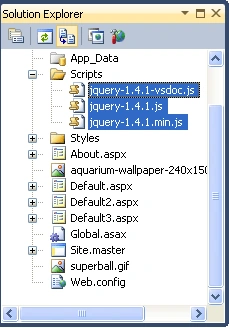 Solution Explorer