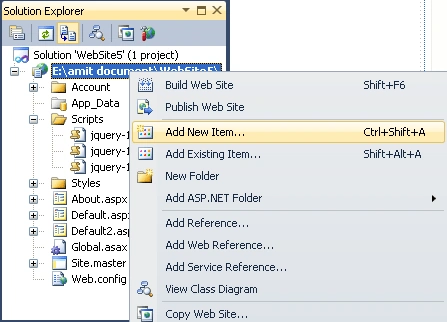 Solution Explorer