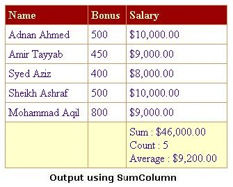 SumColumn-Output2.jpg