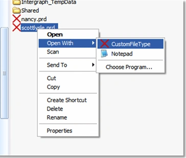 CustomFileType4-in-VB.NET.gif