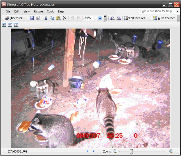 Microsoft-Office-Picture-Manager.gif