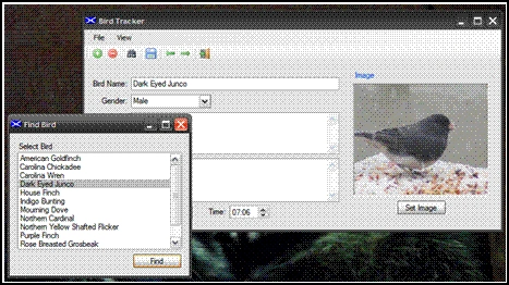 image2.GIF