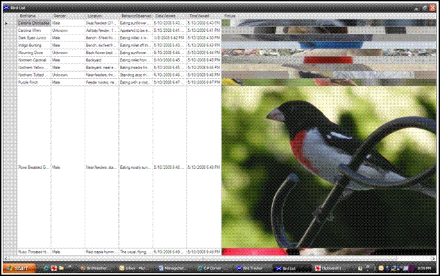 image3.GIF