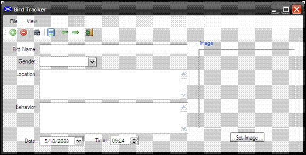 image5.GIF
