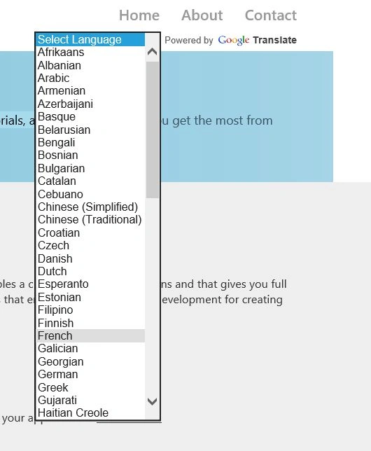 Translation Language Dropdown
