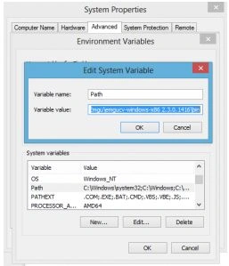 System Variables